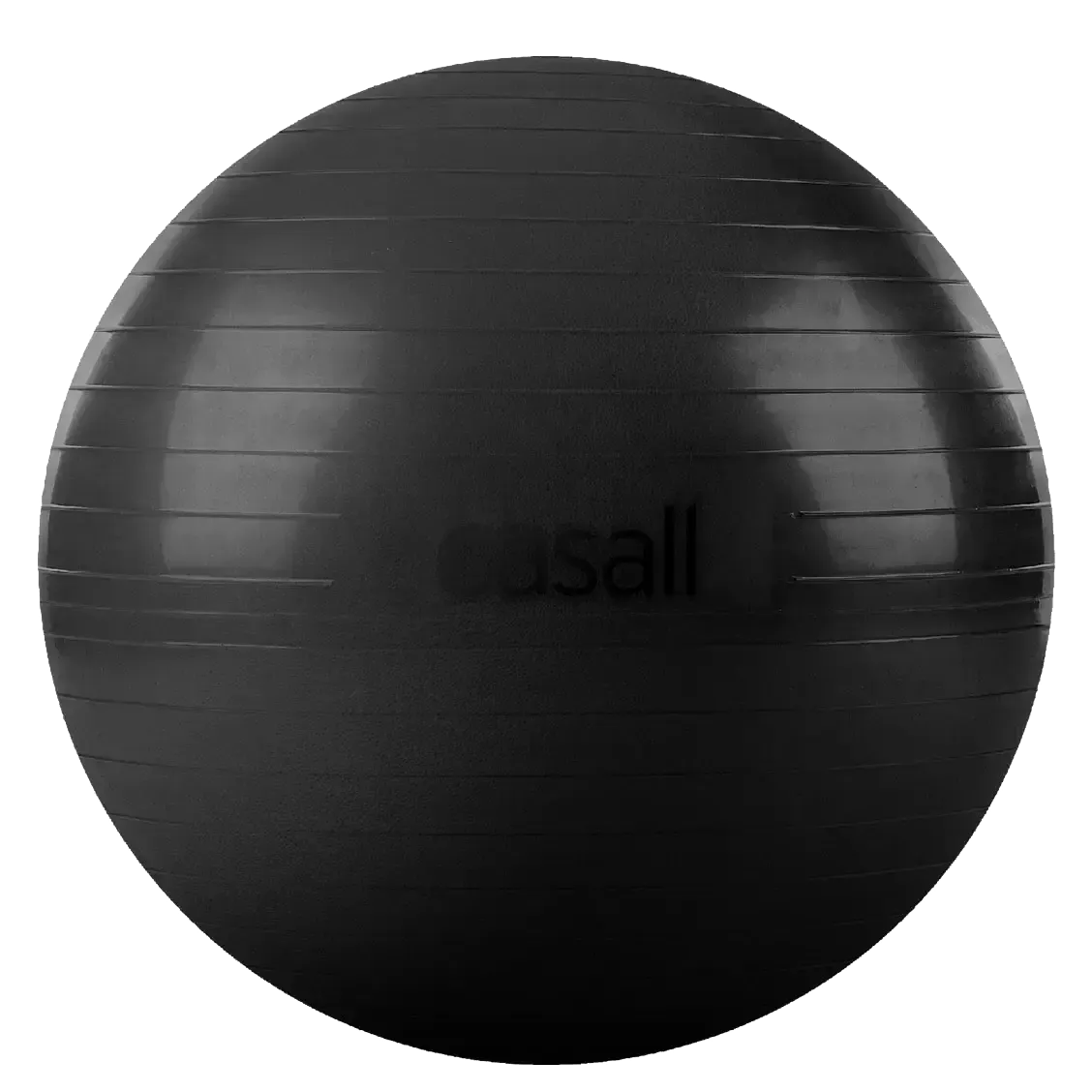 Exercise Ball 60-65 cm