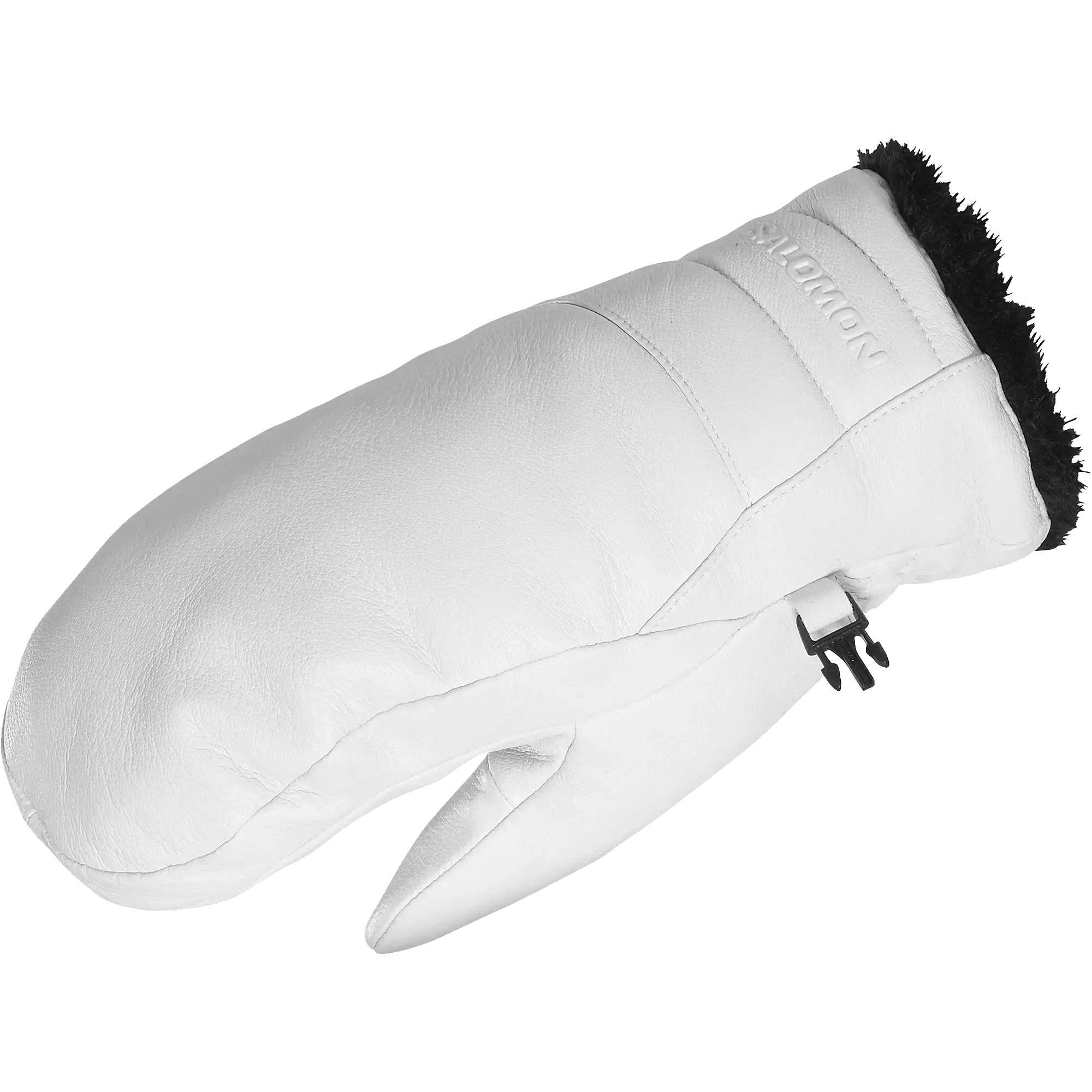 Native Gore-Tex Mitten