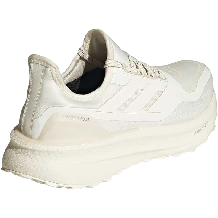 Ultraboost 5 GTX Women