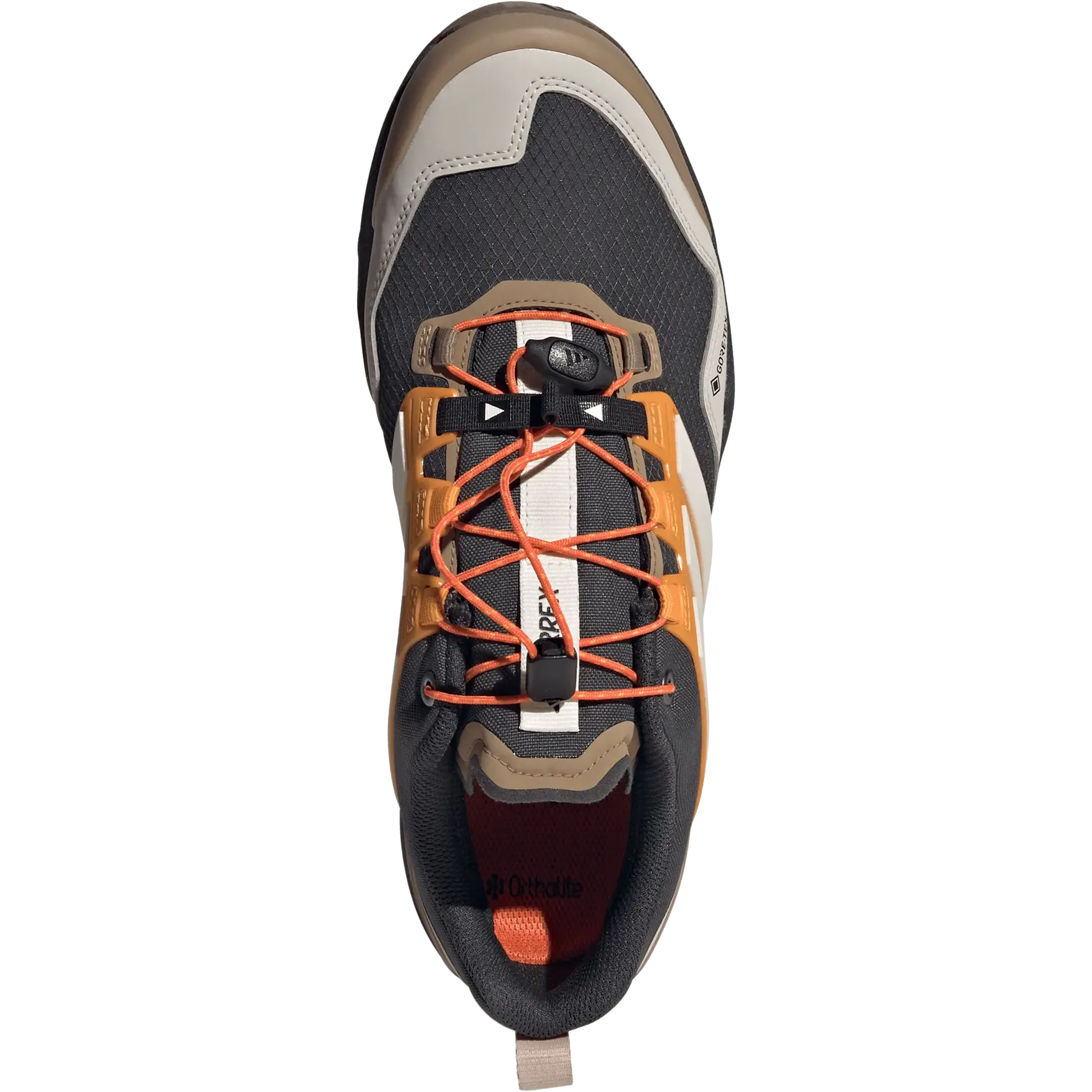 Terrex Skychaser GTX Men