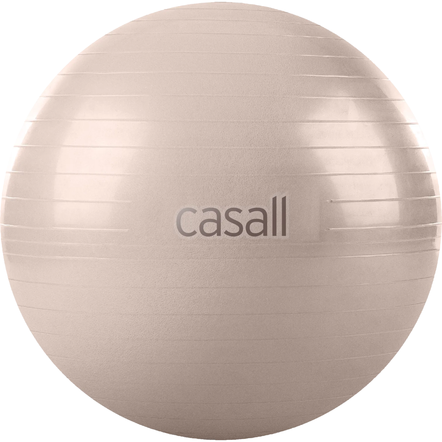 Exercise Ball 60-65 cm