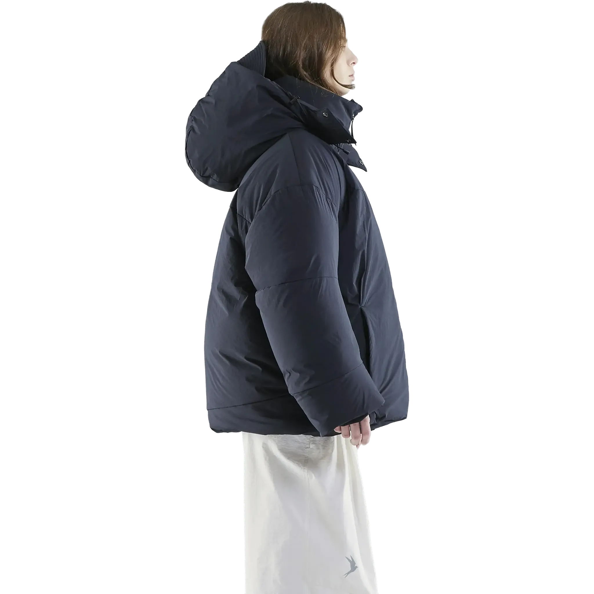 Aegisida Down Jacket Men