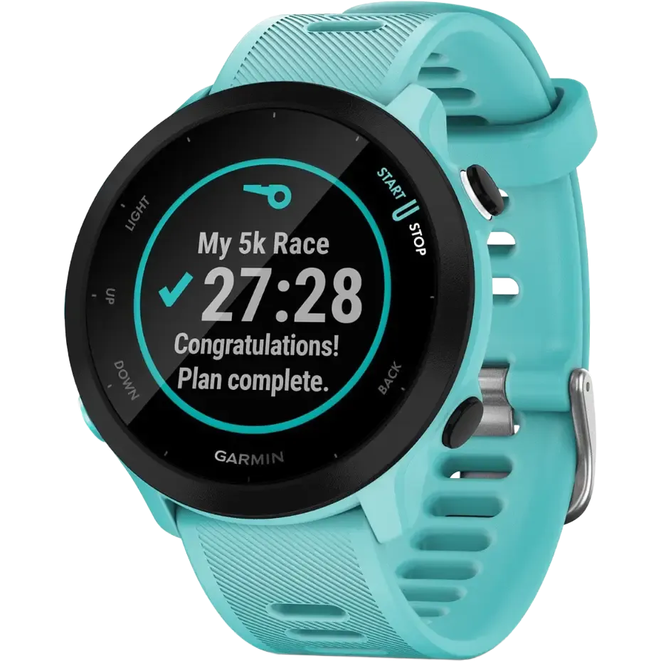 Forerunner 55