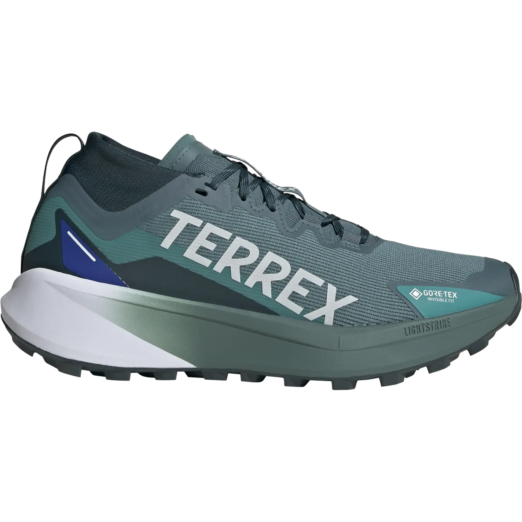 Terrex Agravic GTX Men