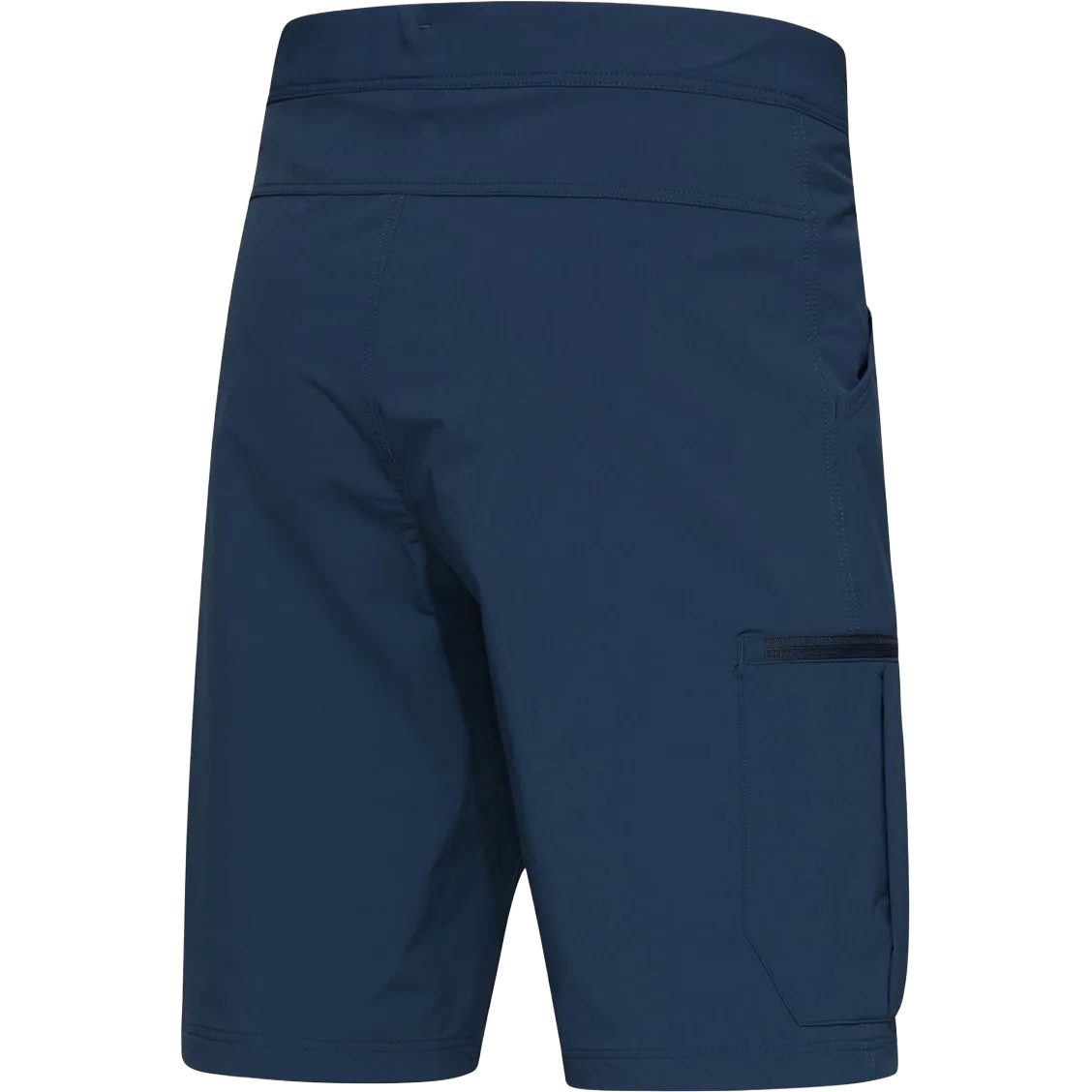 Lizard Softshell Shorts Men herreshorts