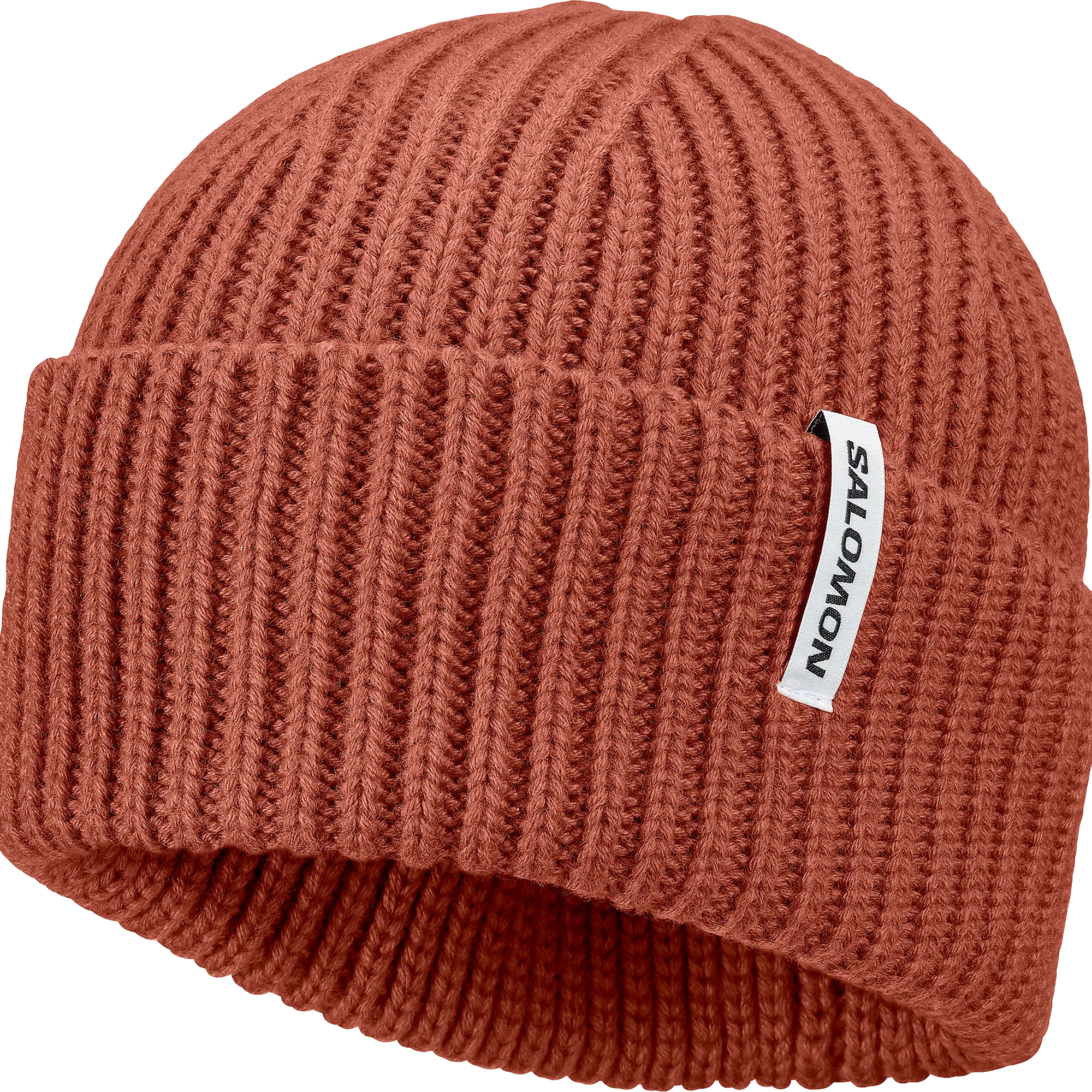 Snowbird Beanie
