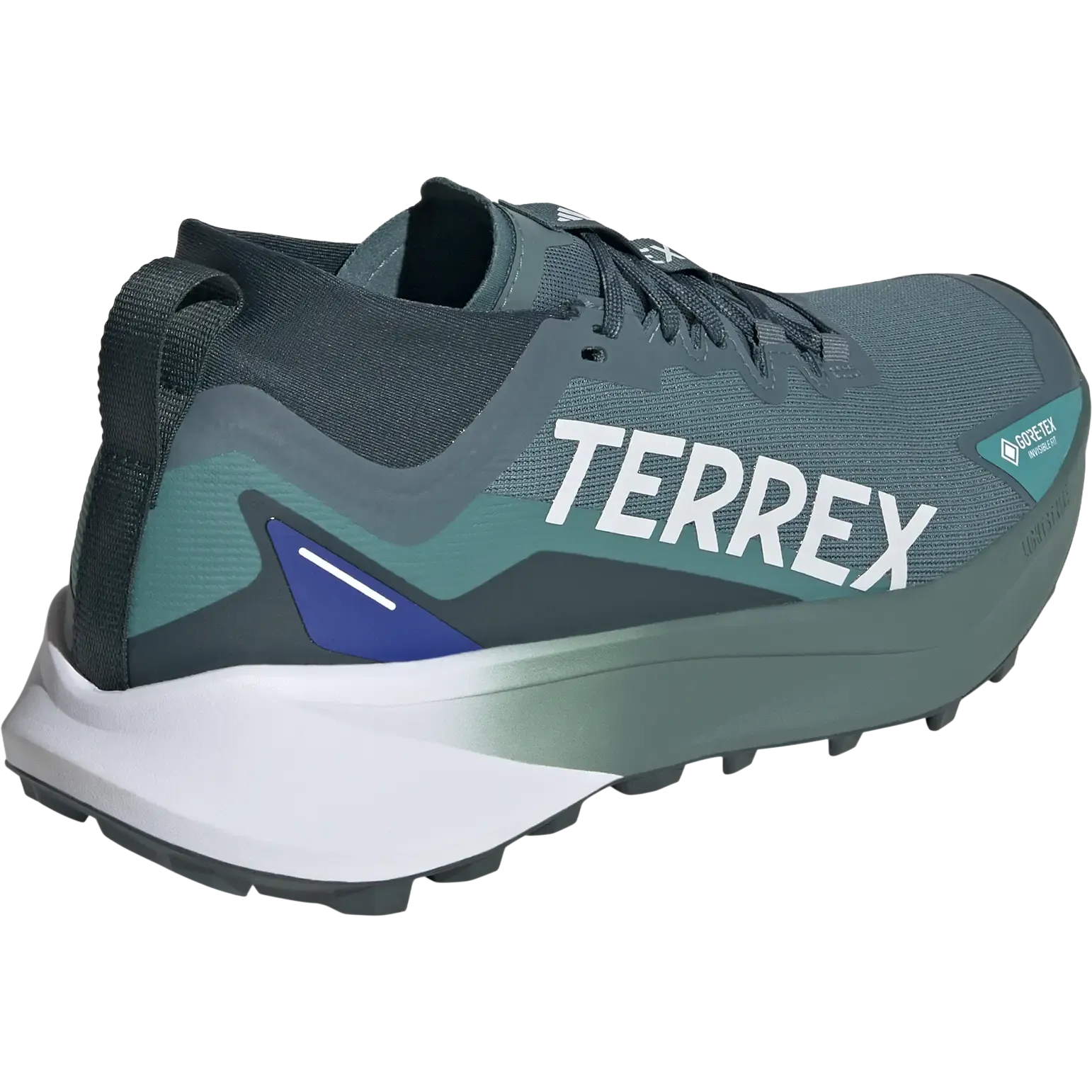 Terrex Agravic GTX Men