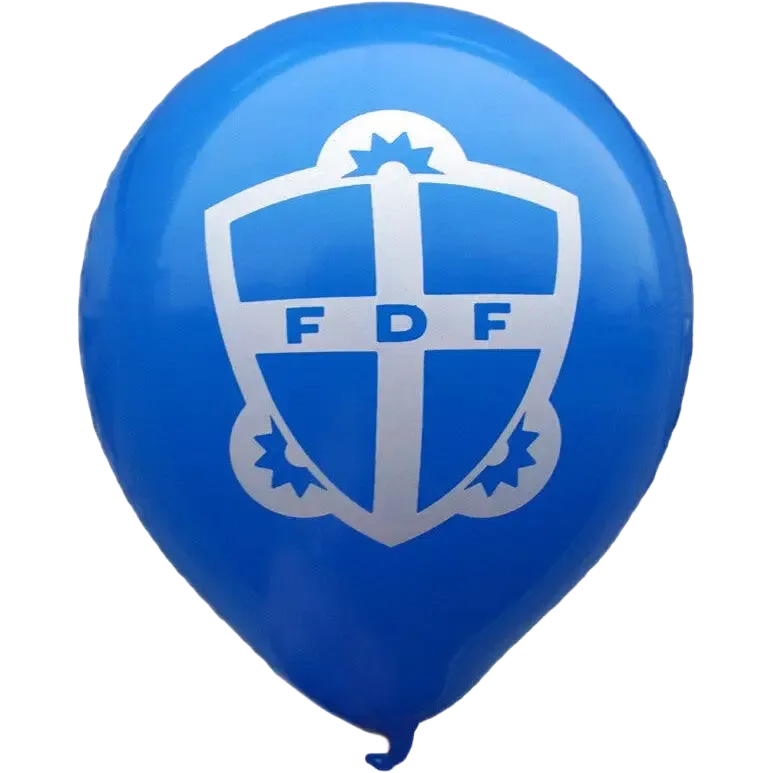 FDF Ballon 100 stk