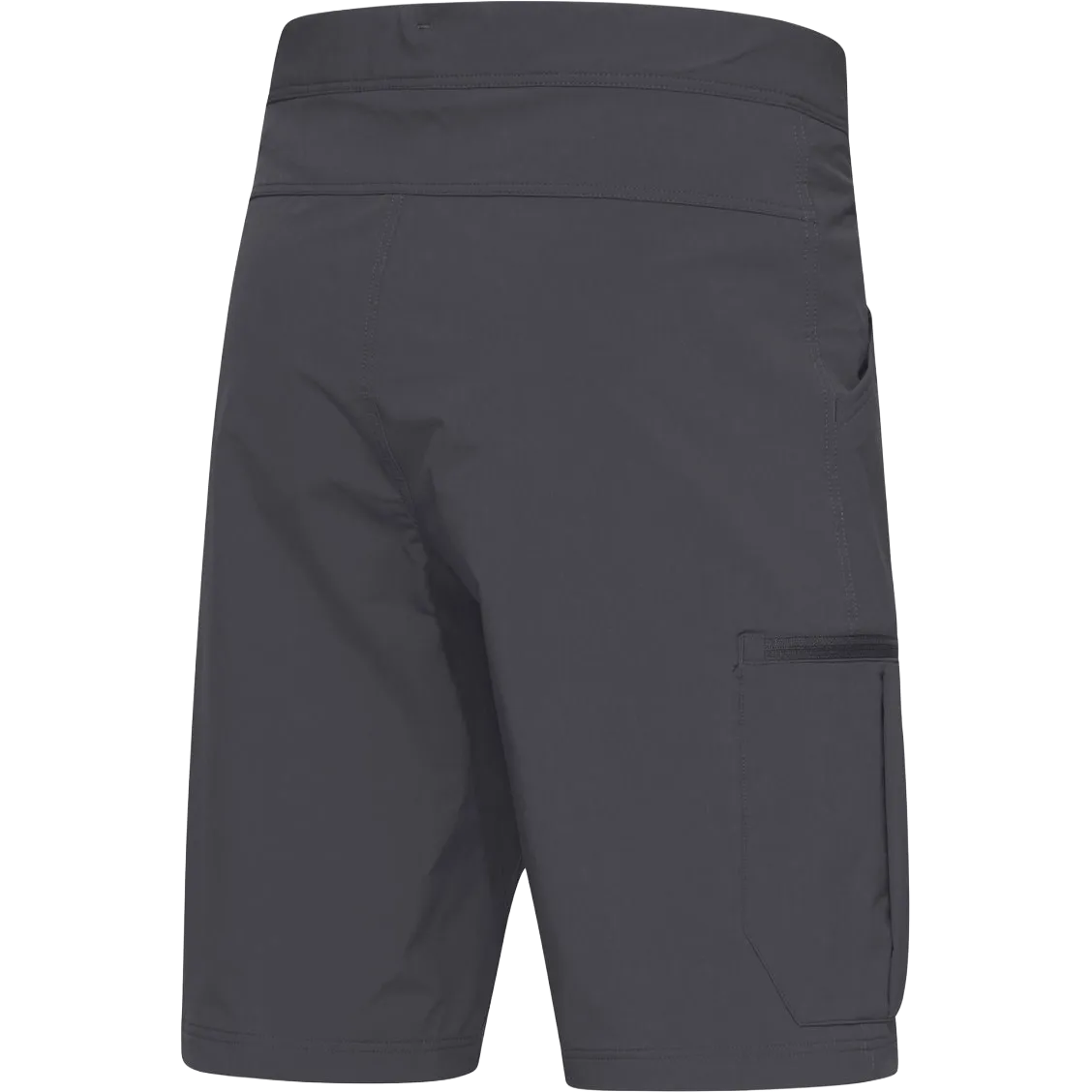 Lizard Softshell Shorts Men herreshorts