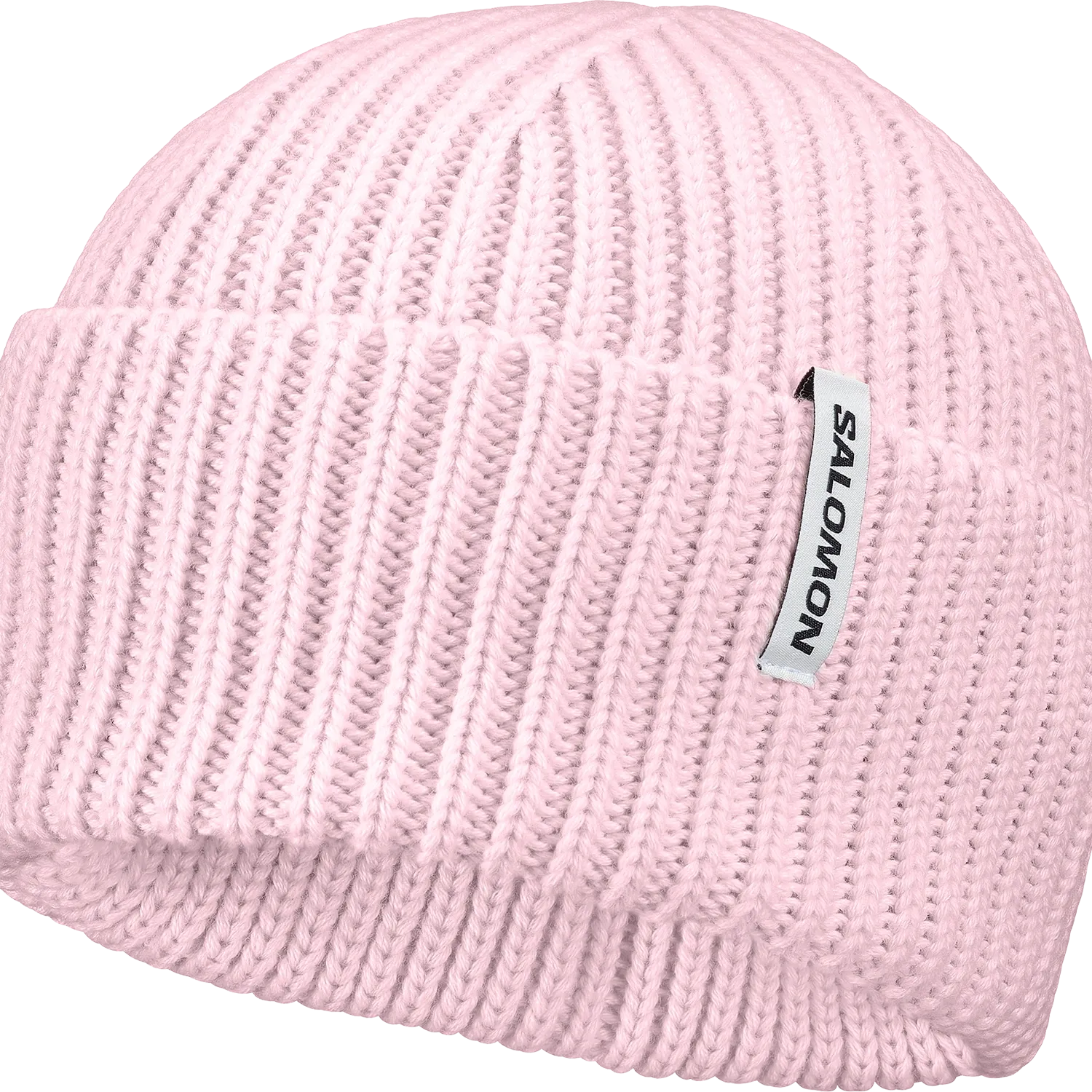Snowbird Beanie