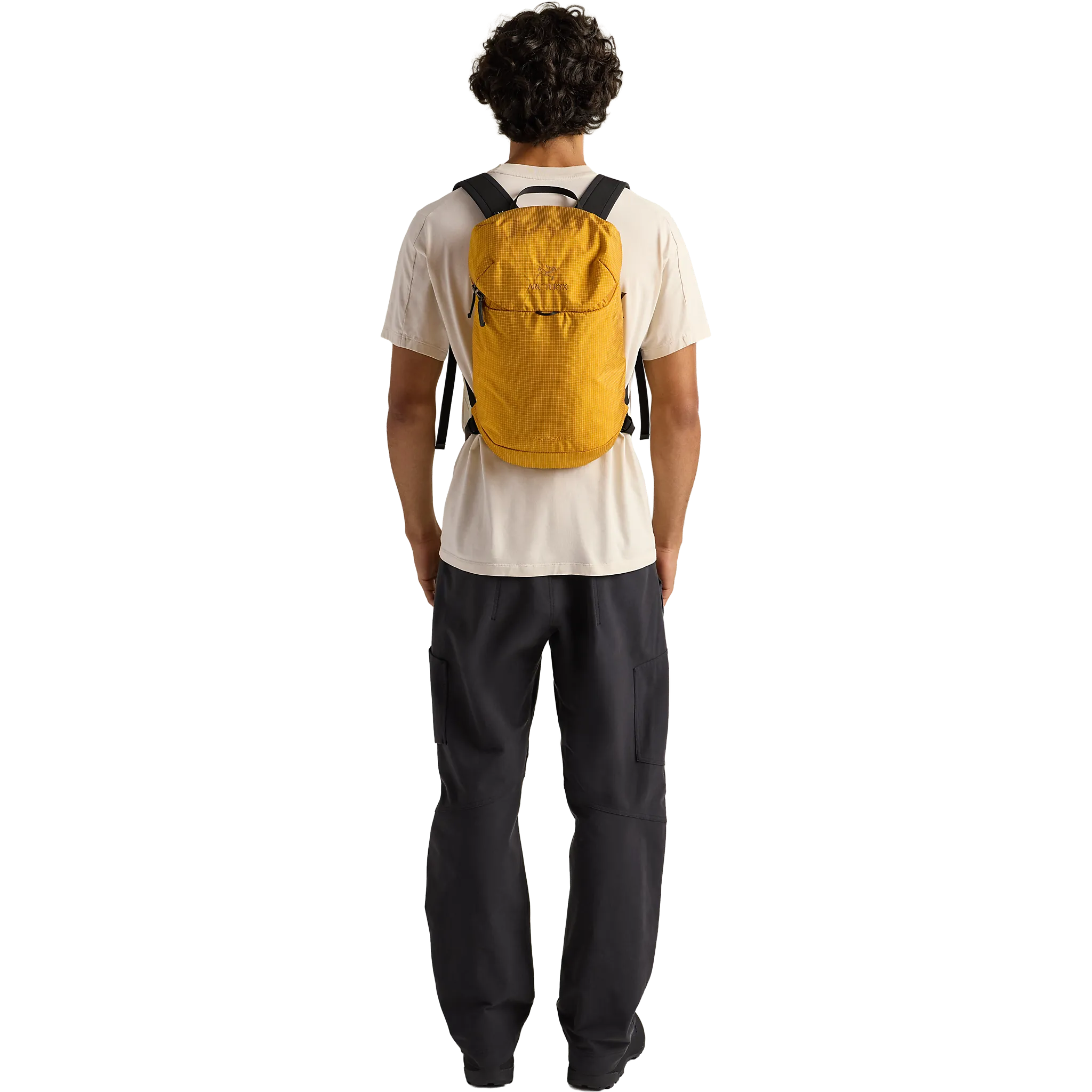 Konseal 15 Backpack