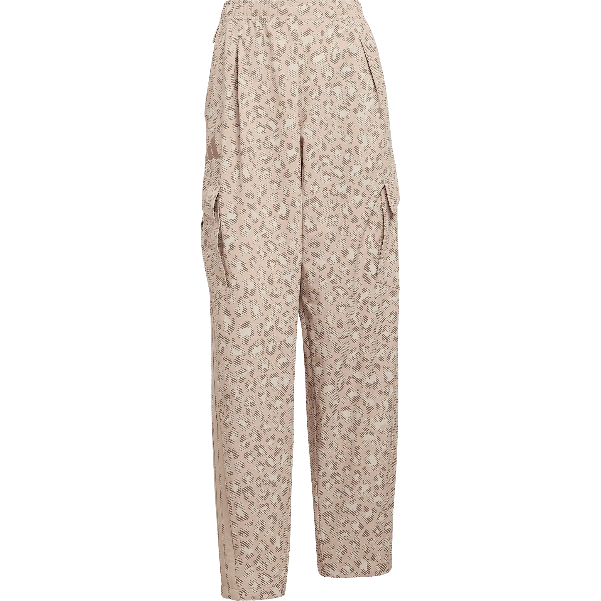Terrex XPR Cargo Pants Women