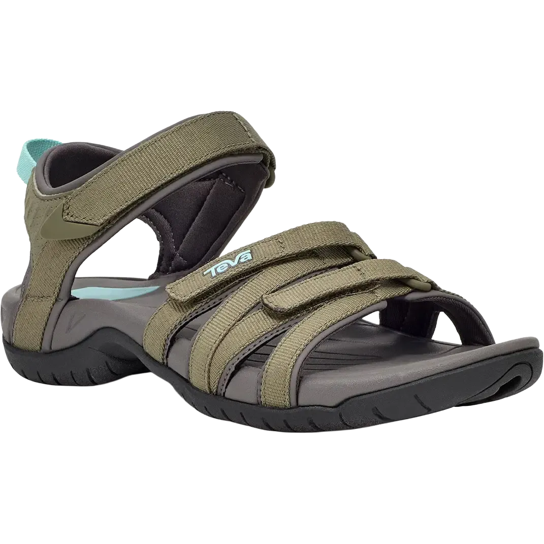 Burnt Olive