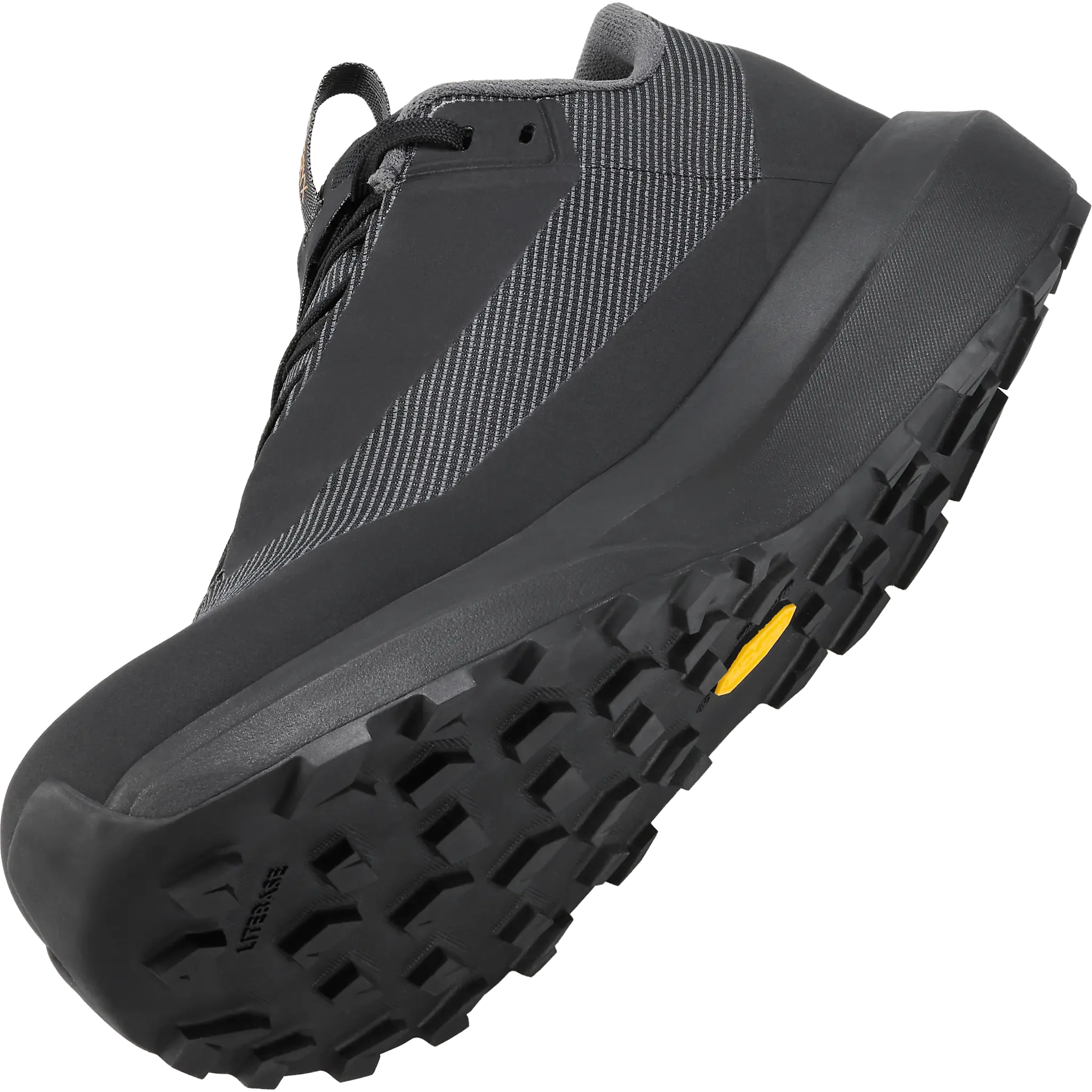 Norvan LD 4 GTX Men