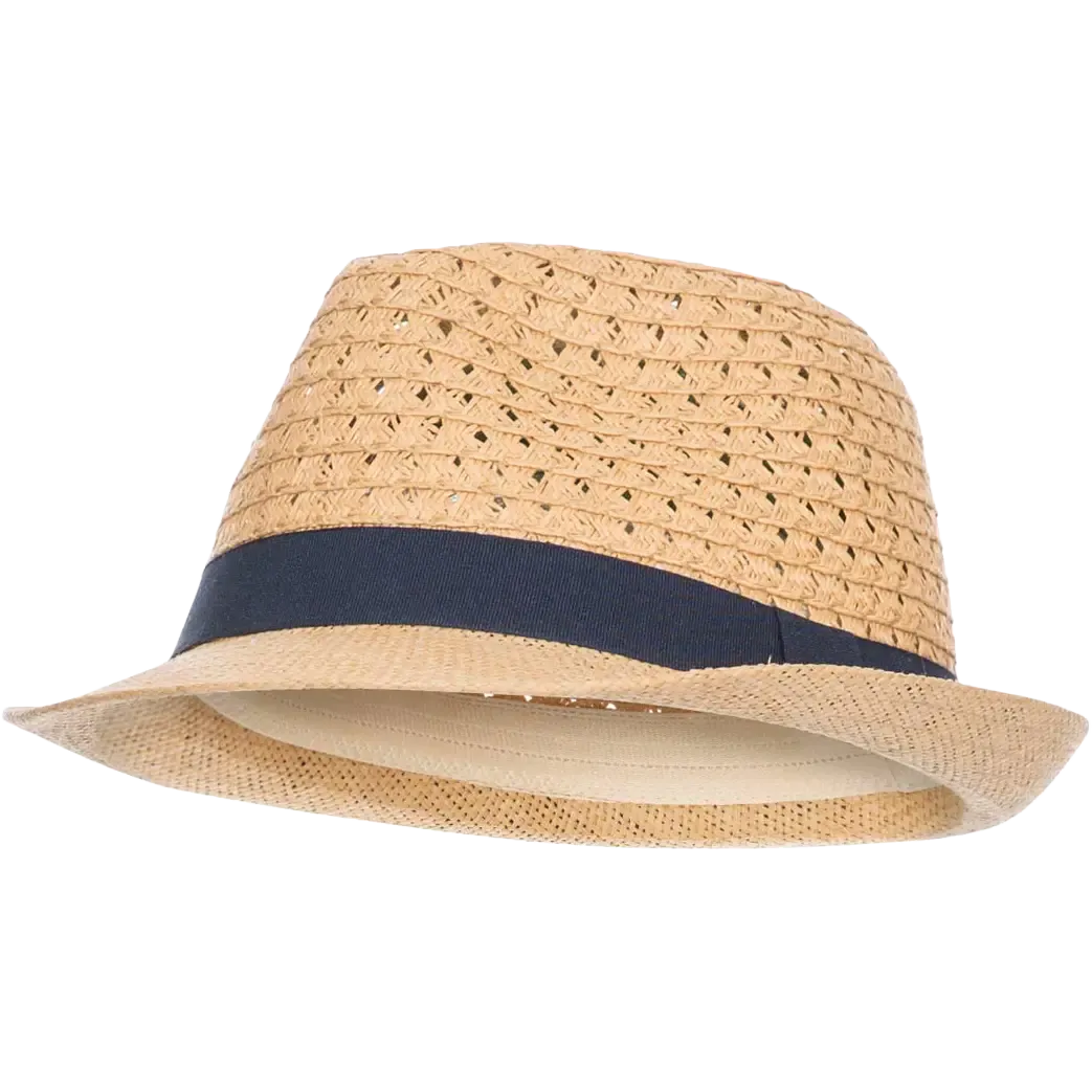 Trilby Hat