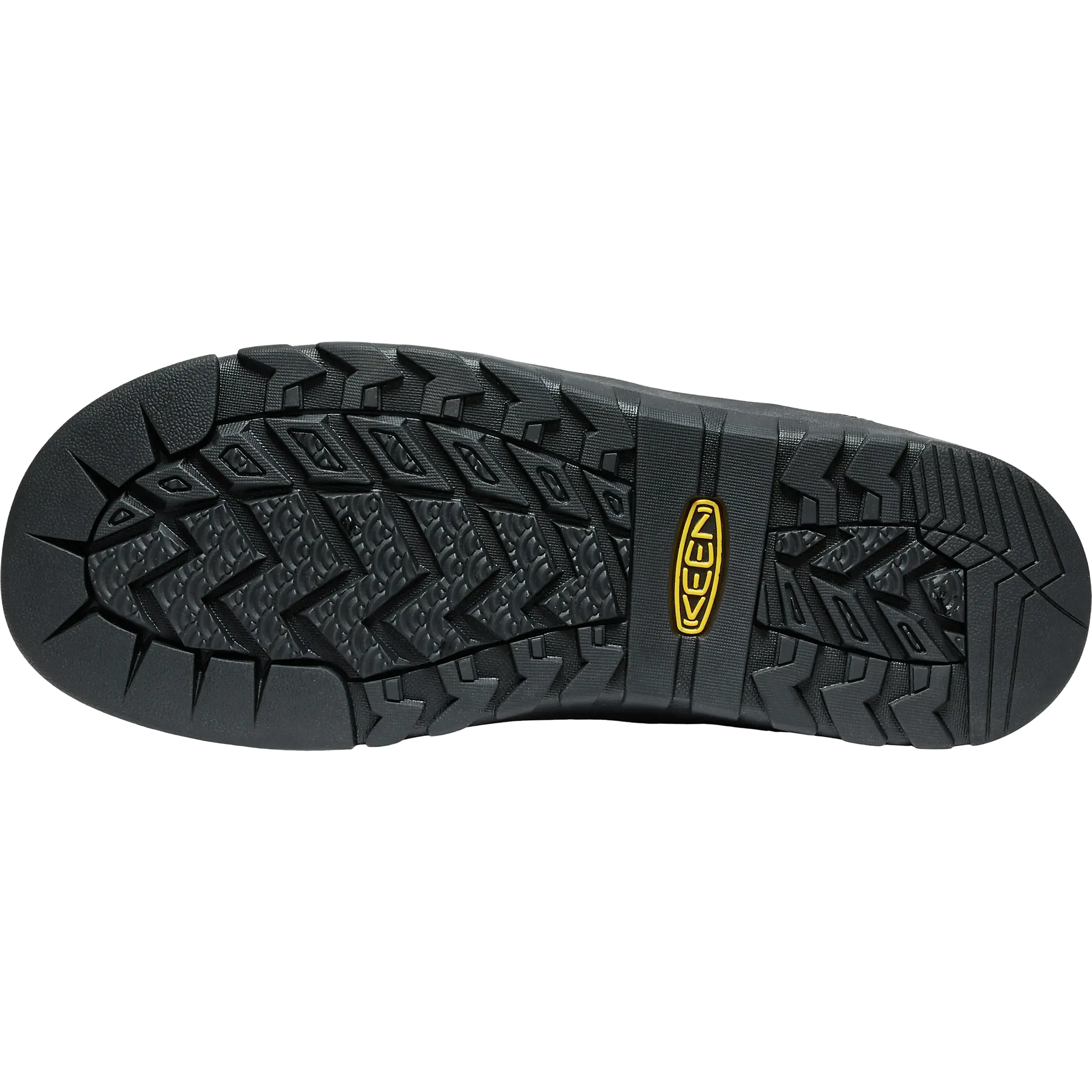 Jasper Rocks SP Men herresko