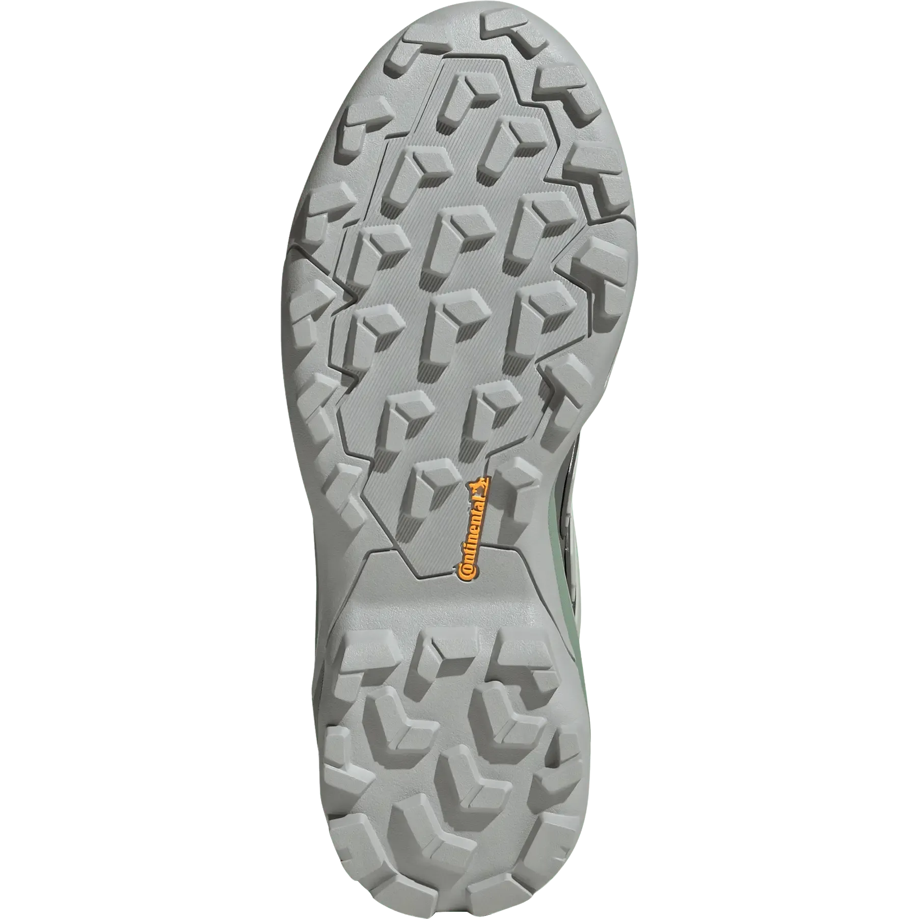 Terrex Skychaser GTX Women
