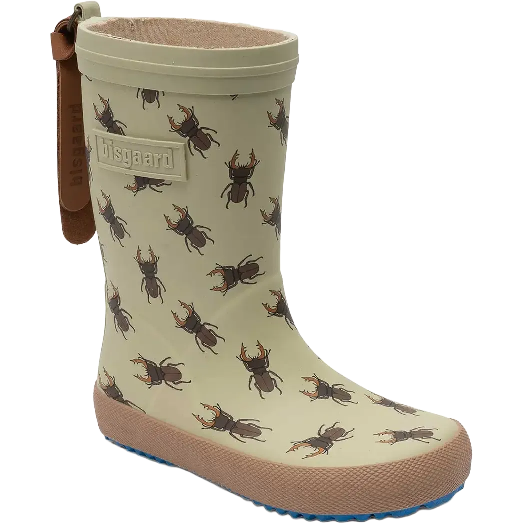 Brown Bettles-3002