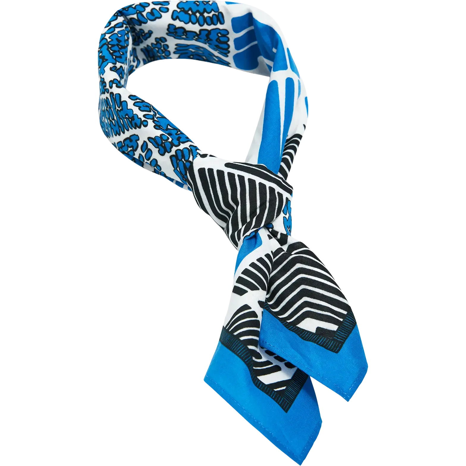 Artwork Bandana
