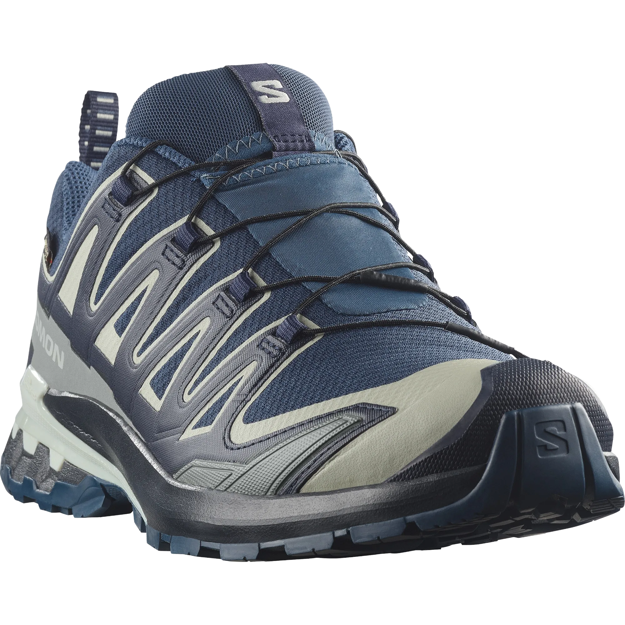 XA Pro 3D V9 GTX Men herresko