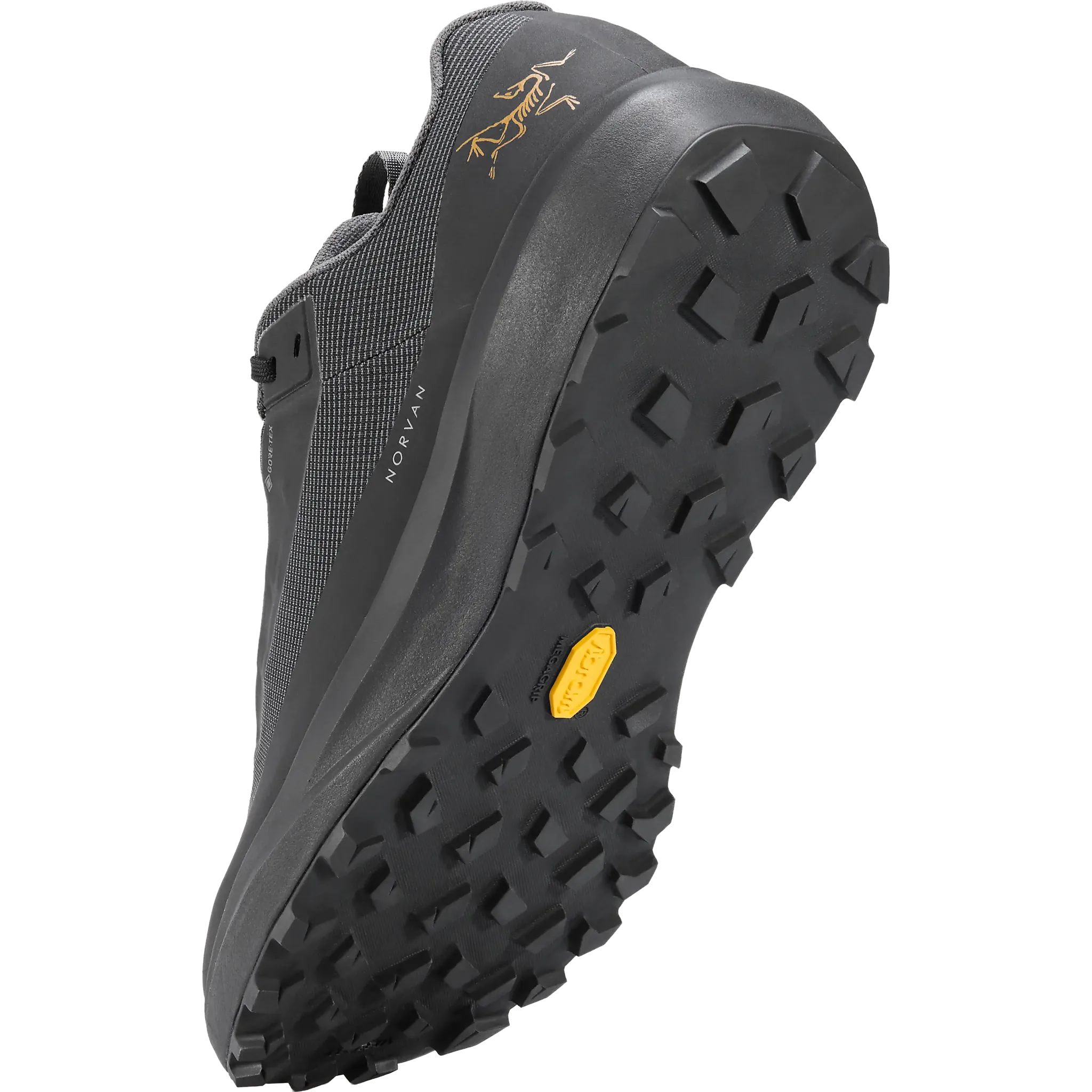 Norvan LD 4 GTX Women