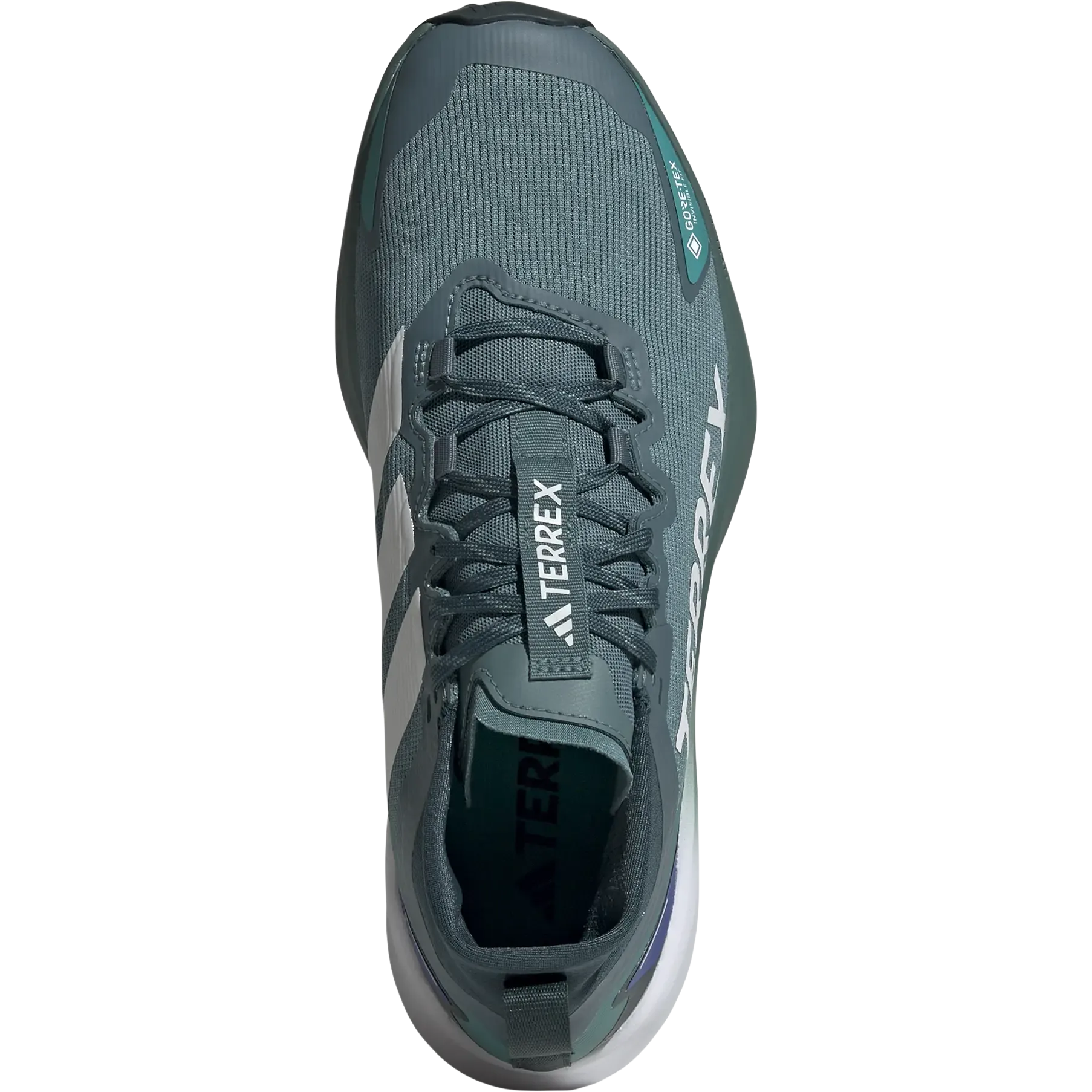 Terrex Agravic GTX Men