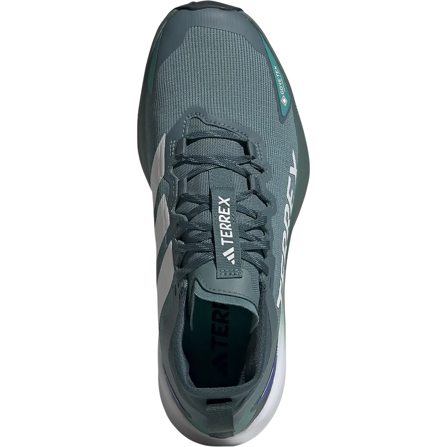 Terrex Agravic GTX Men