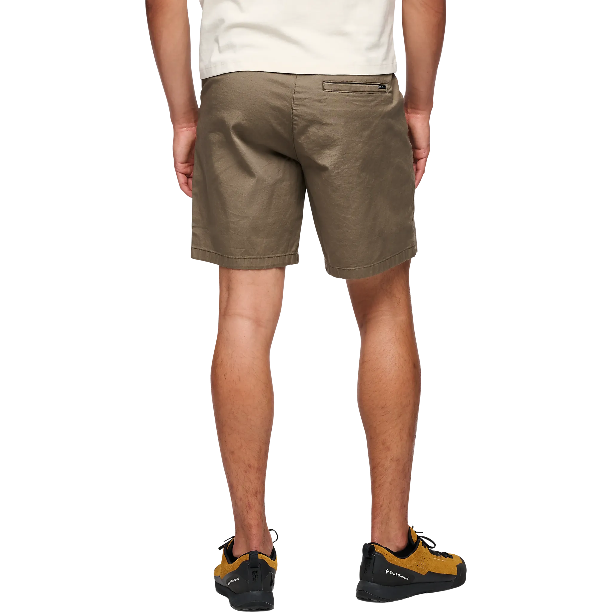 Notion Shorts Men