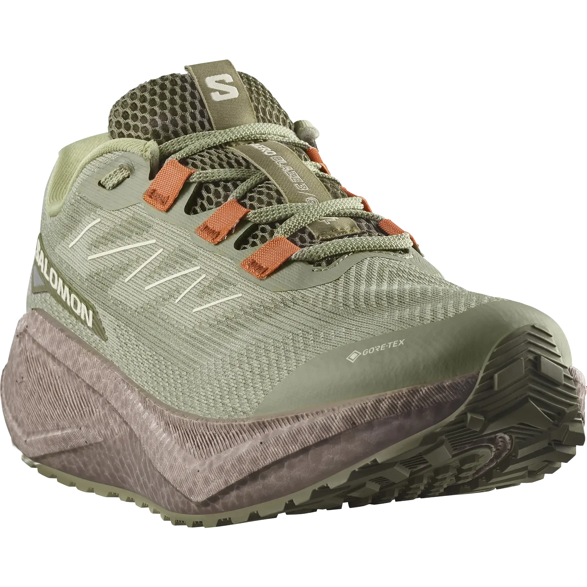 Aero Blaze 3 Grvl GTX Men