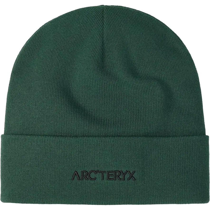 Arcteryx Word Toque - Eden - One size - Accessories