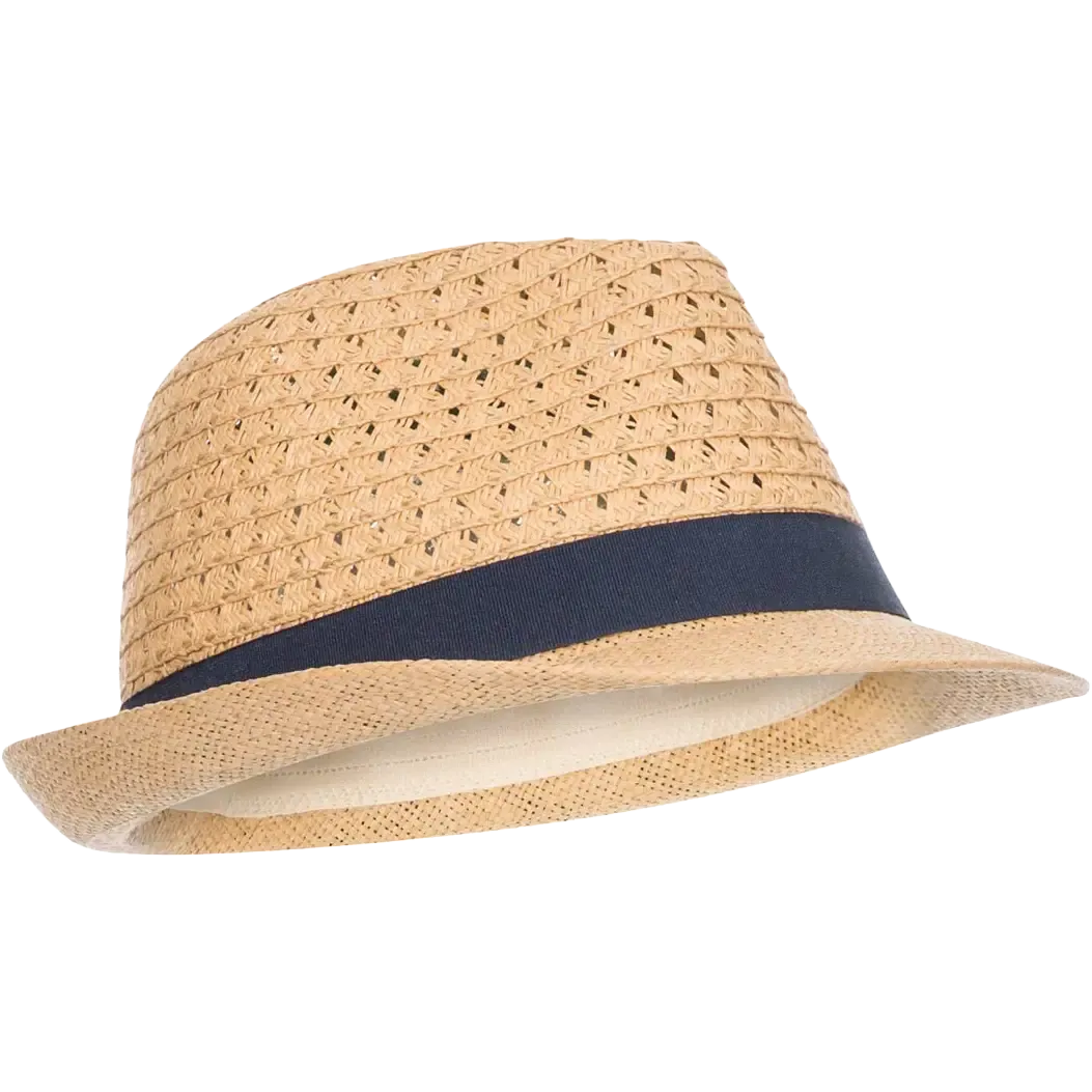 Trilby Hat