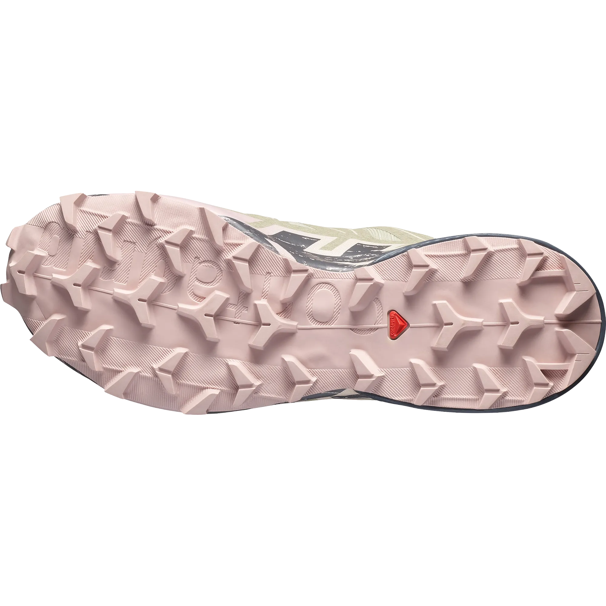 Speedcross 6 GTX Women