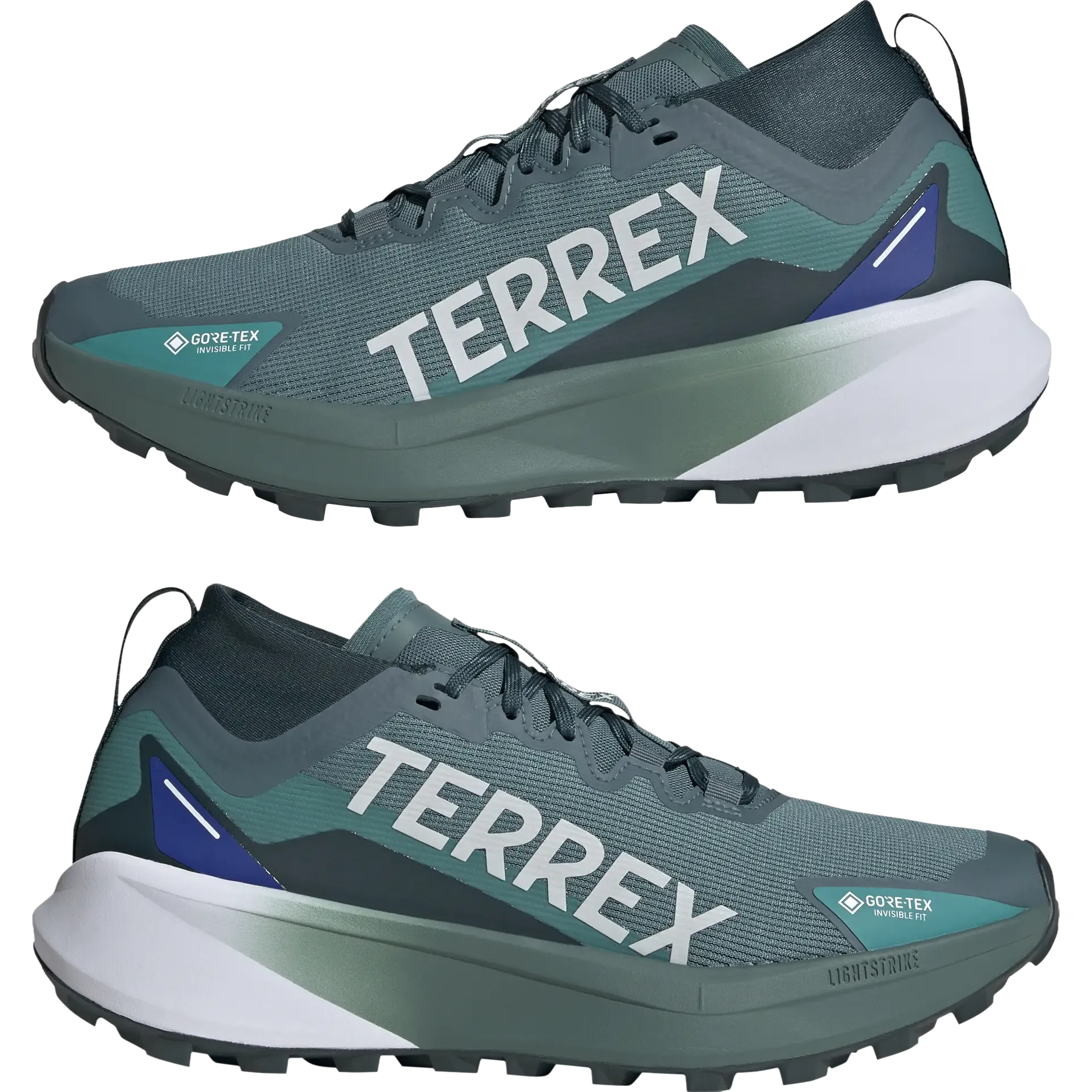 Terrex Agravic GTX Men