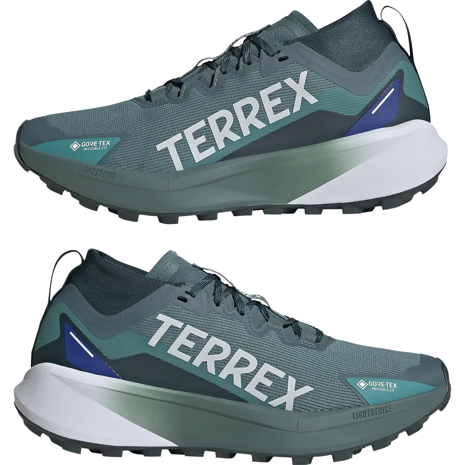 Terrex Agravic GTX Men