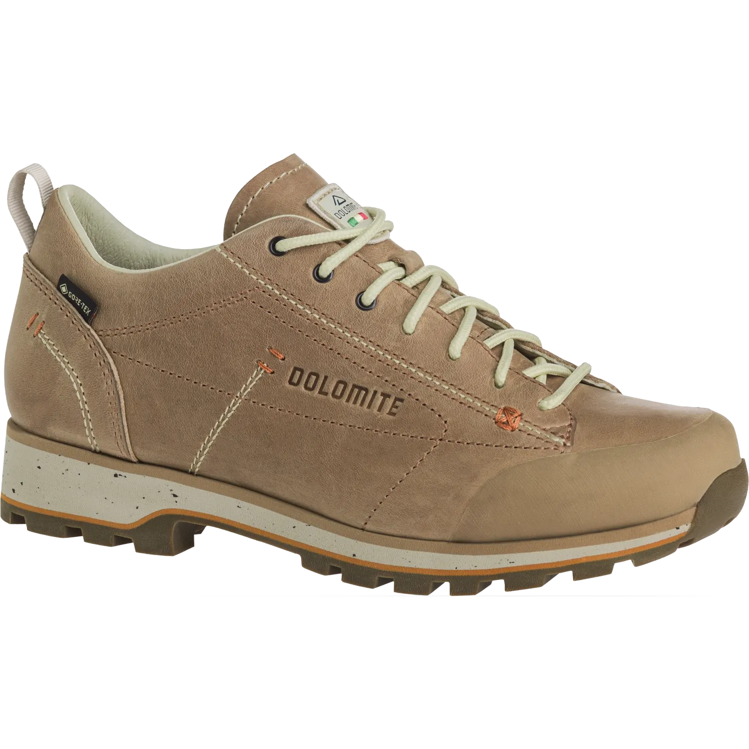 54 Low FG Evo GTX Shoe Women