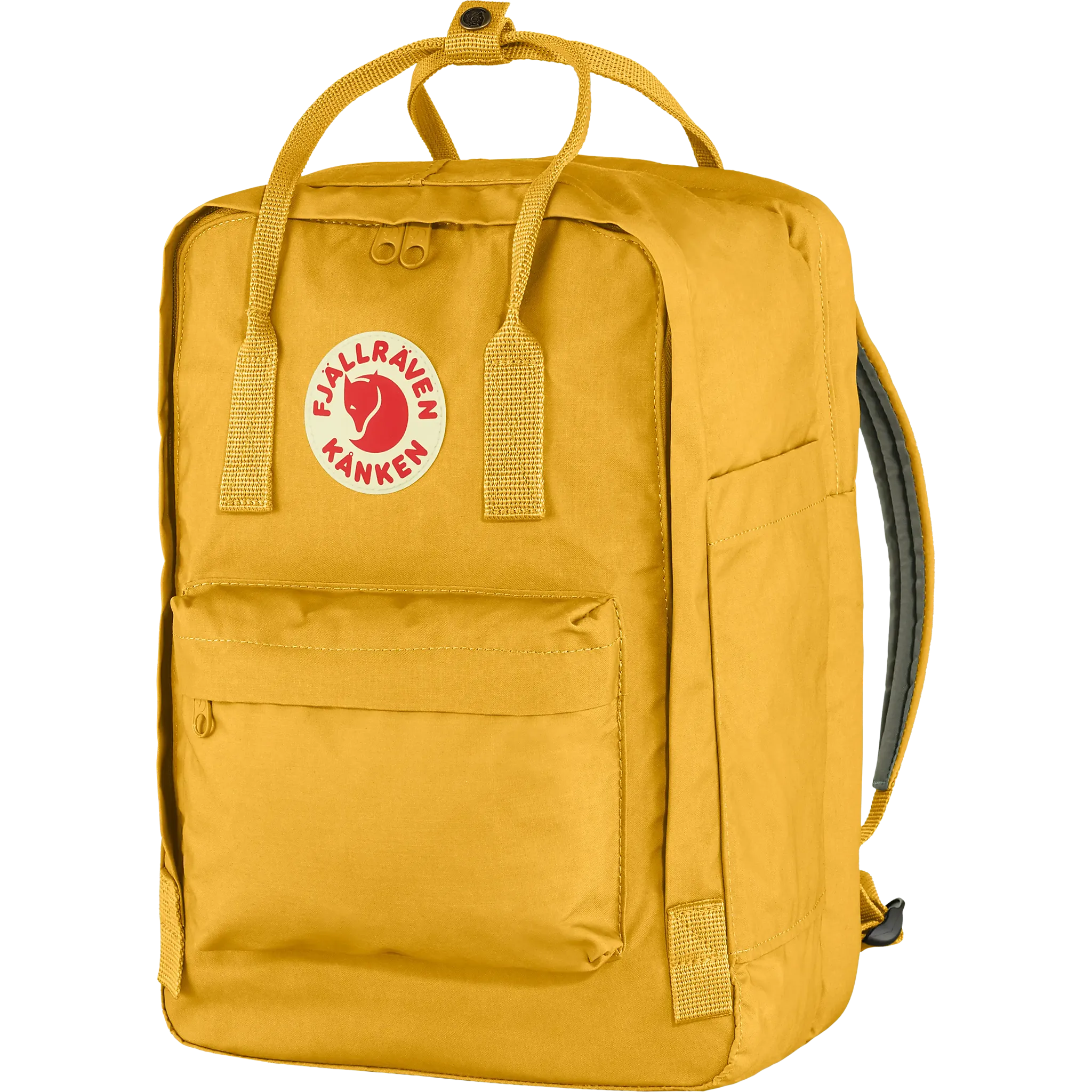 Ochre-160