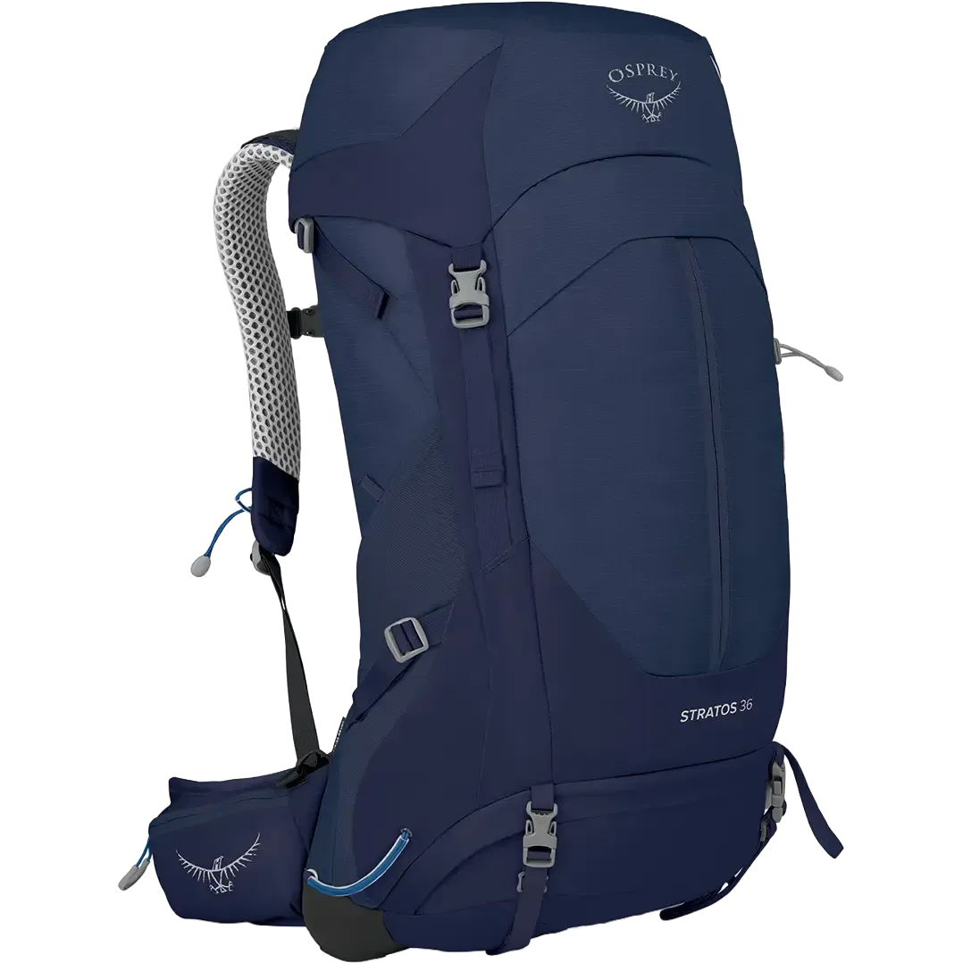 Cetacean Blue-480