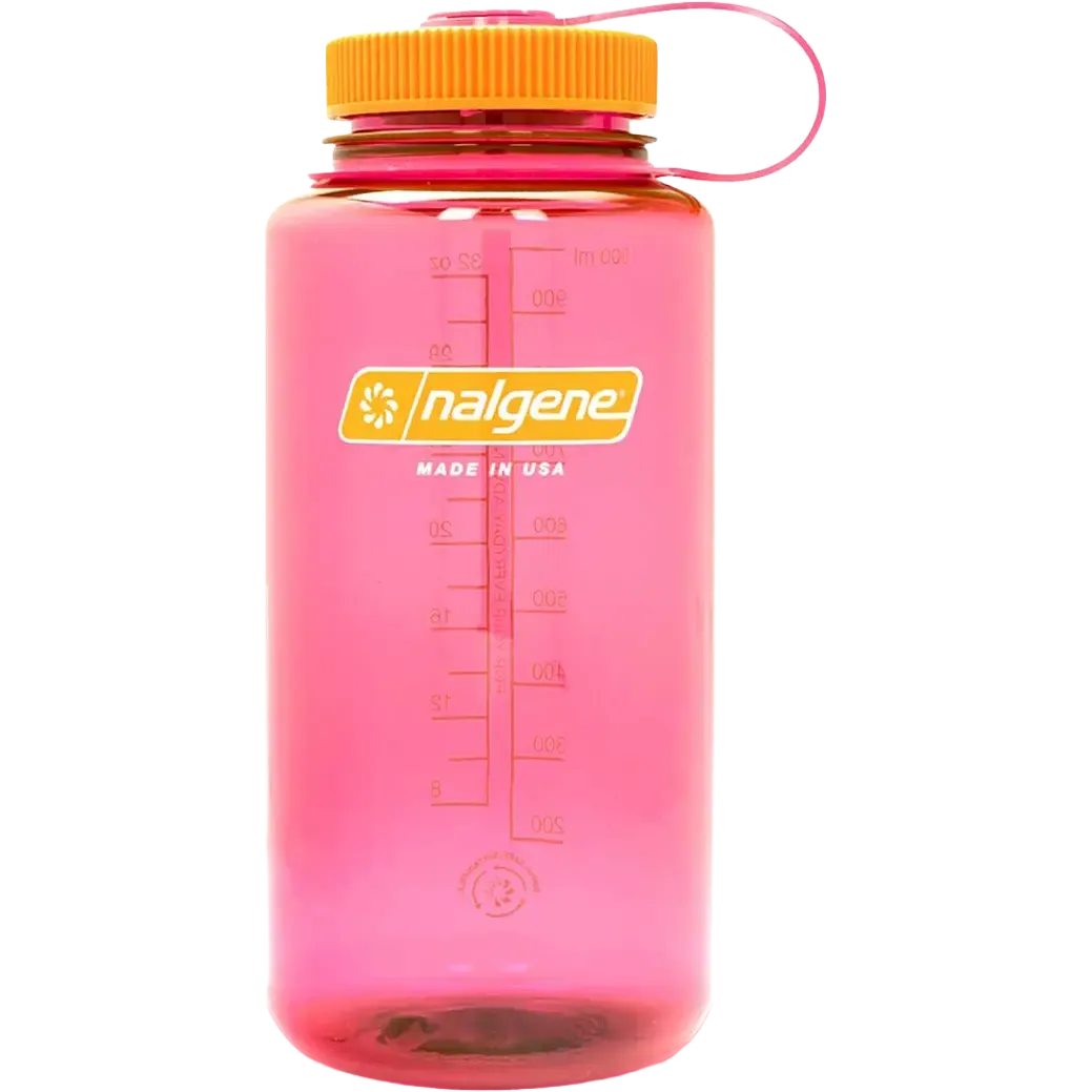 Flamingo-4732