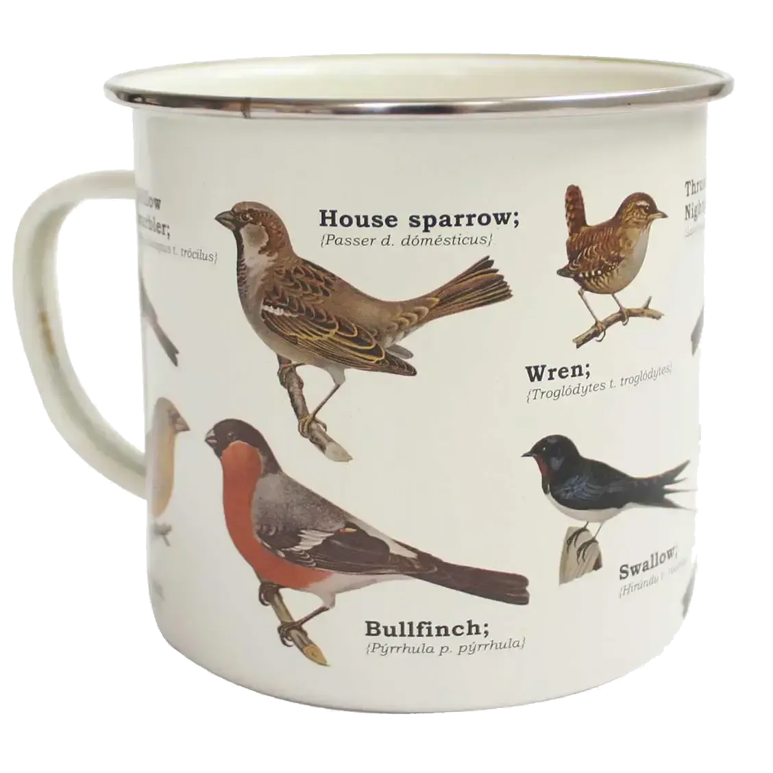 Garden Birds