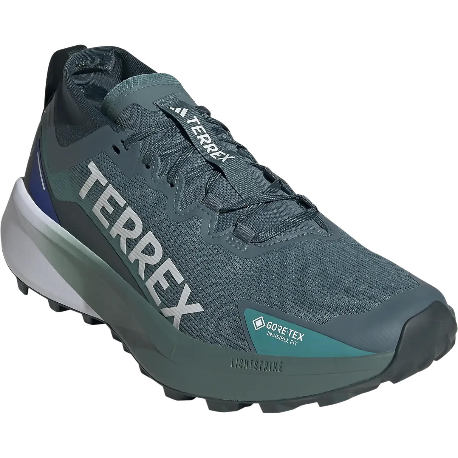 Terrex Agravic GTX Men