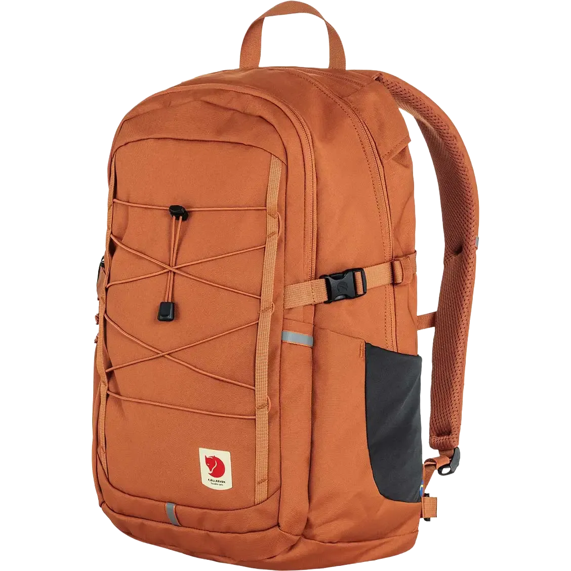 Terracotta Brown-243
