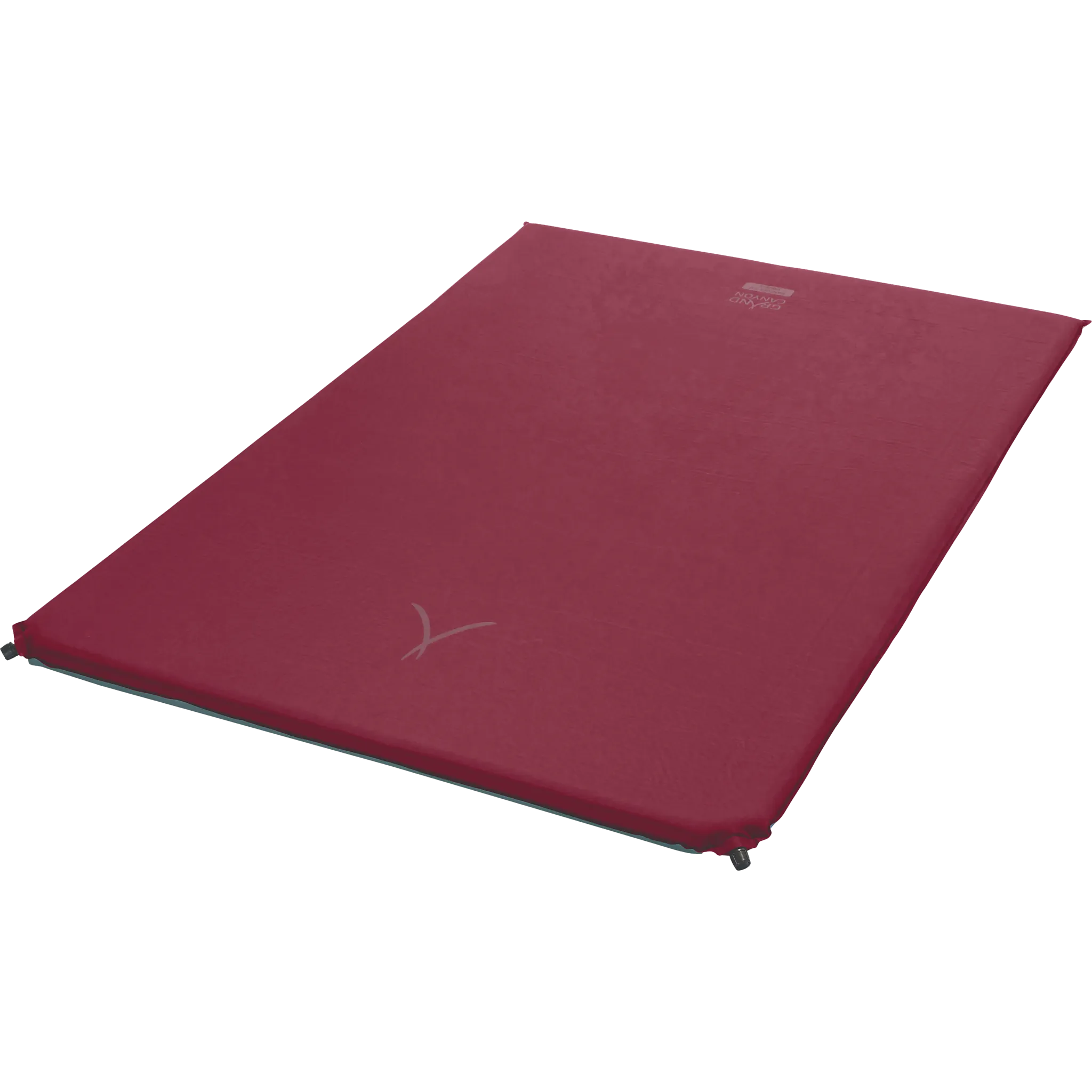 American Beauty Red