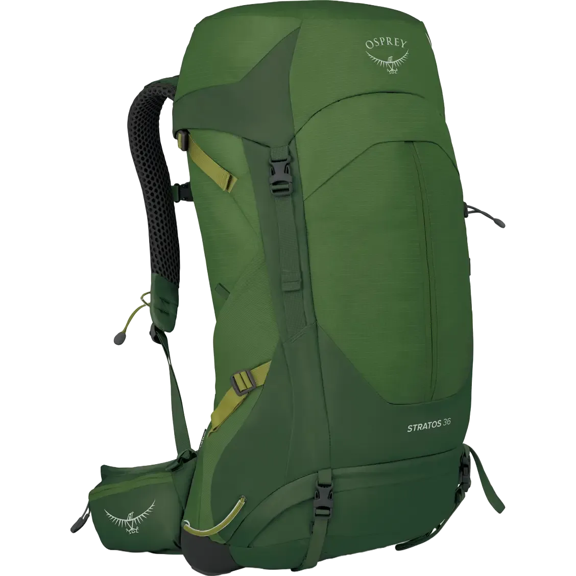 Seaweed/Matcha Green-994