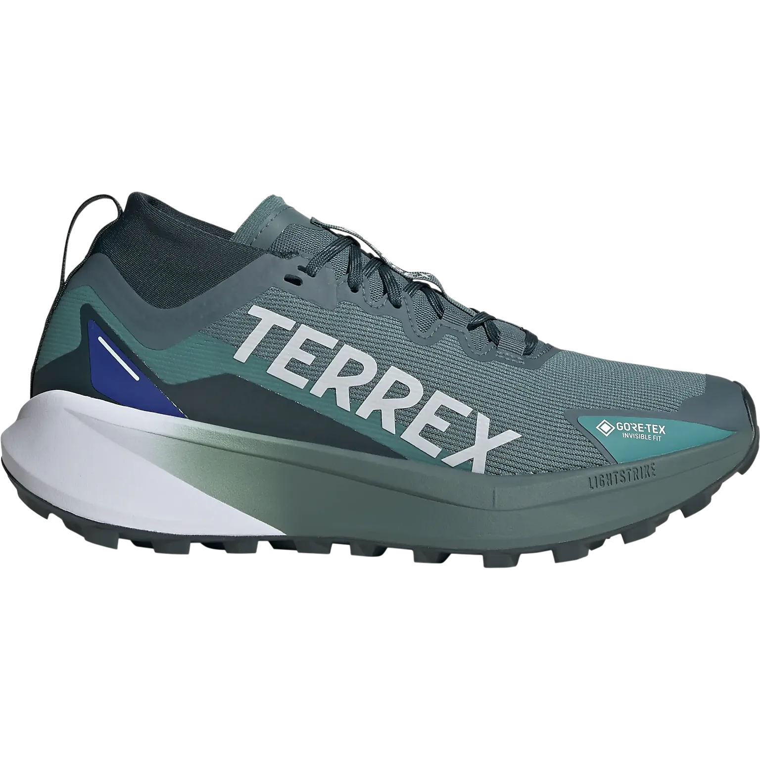 Terrex Agravic GTX Men