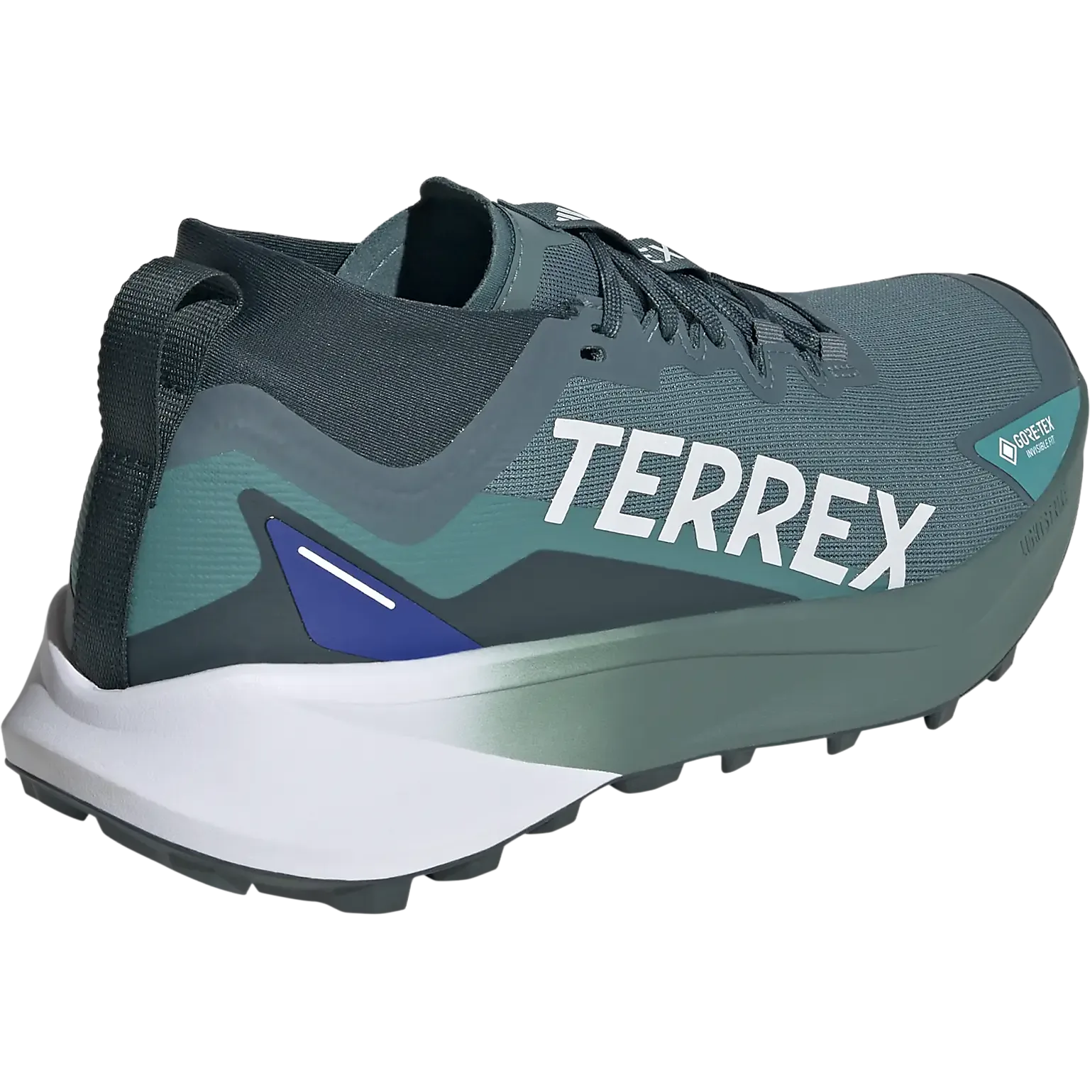 Terrex Agravic GTX Men
